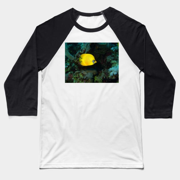 Red Sea Gold Baseball T-Shirt by gdb2